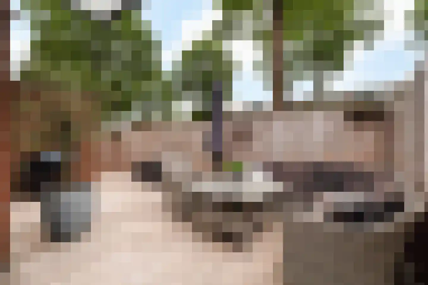 Wit-geellaan 15 Zoetermeer thumbnail 15
