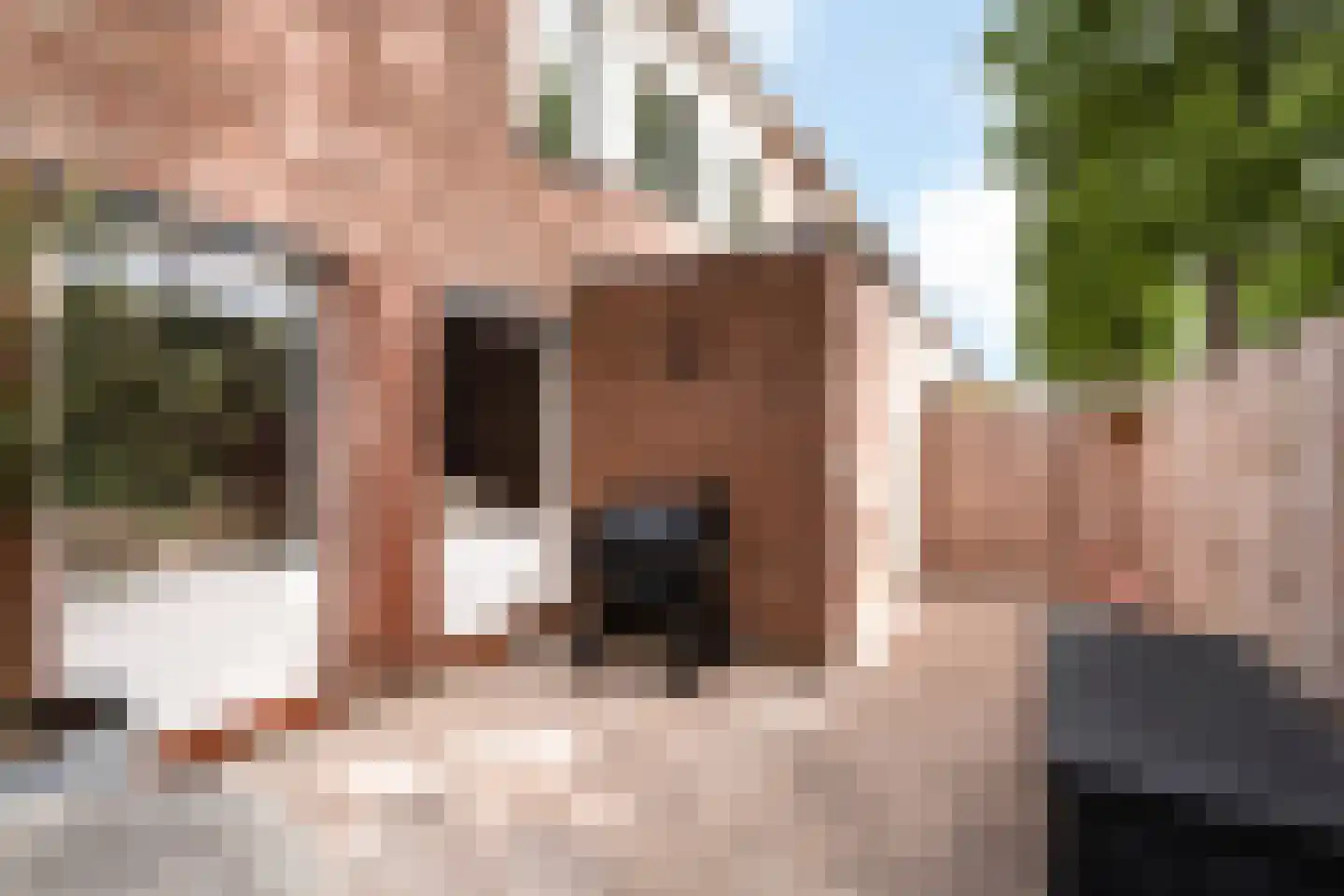 Wit-geellaan 15 Zoetermeer thumbnail 16