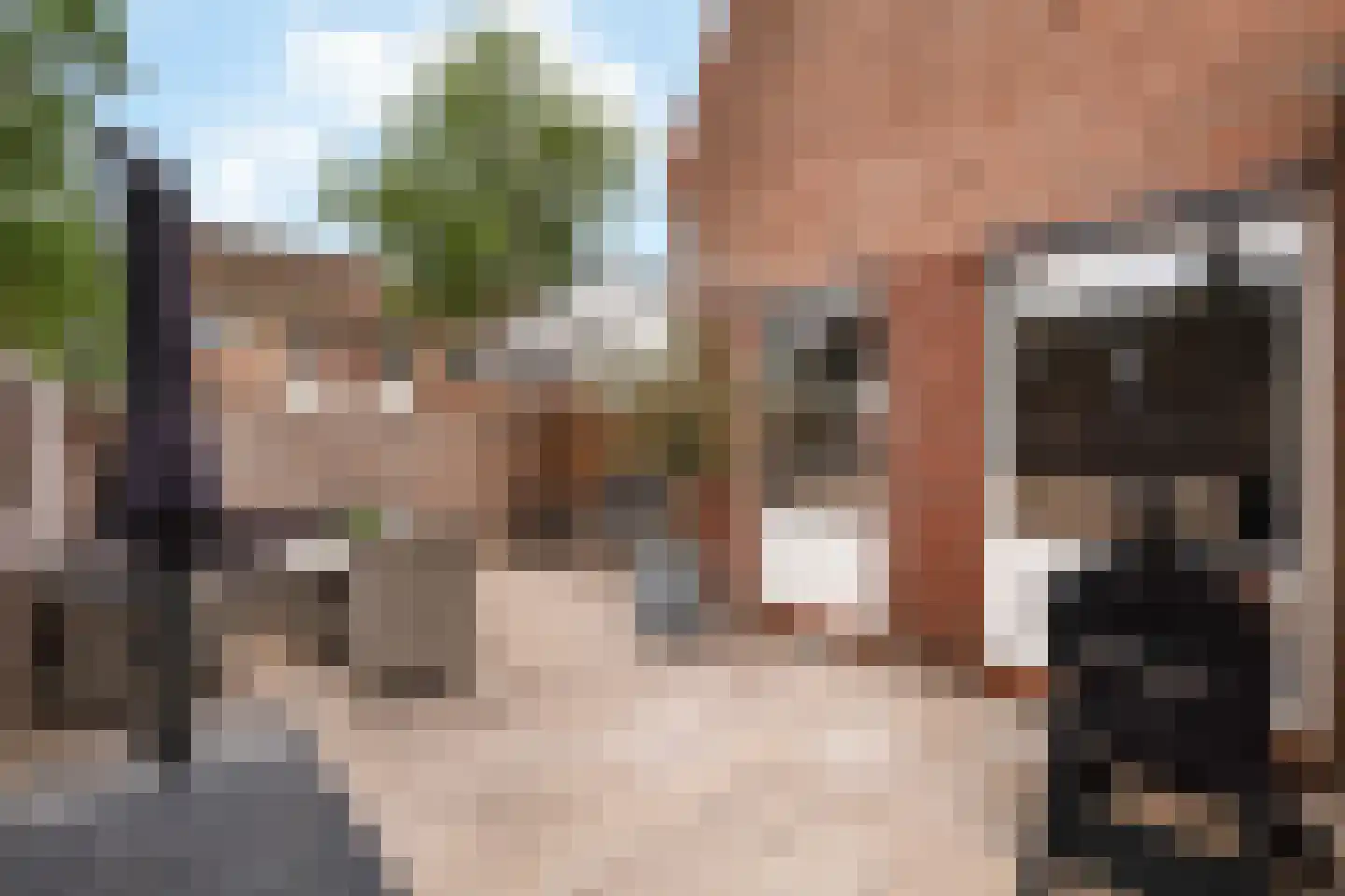 Wit-geellaan 15 Zoetermeer thumbnail 17