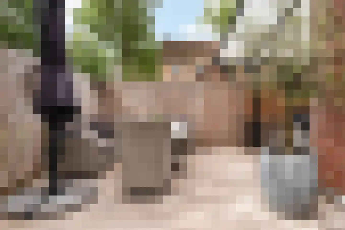 Wit-geellaan 15 Zoetermeer thumbnail 18