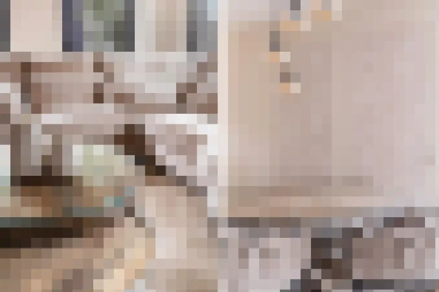 Wit-geellaan 15 Zoetermeer thumbnail 21