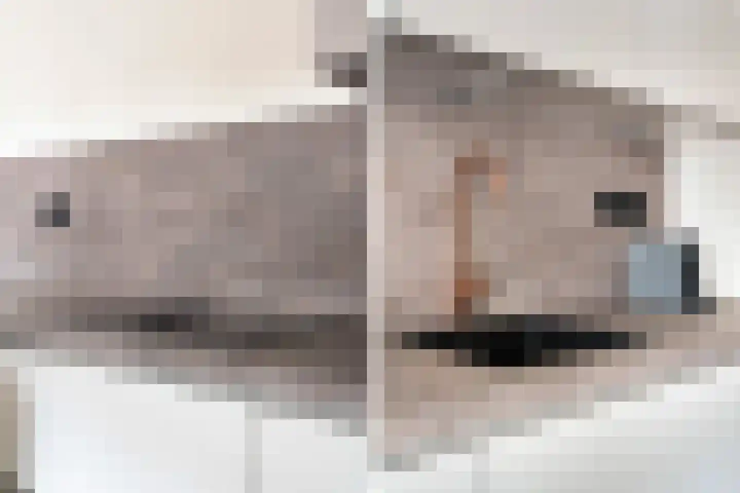 Wit-geellaan 15 Zoetermeer thumbnail 26