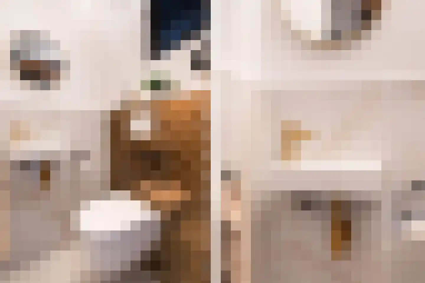 Wit-geellaan 15 Zoetermeer thumbnail 33