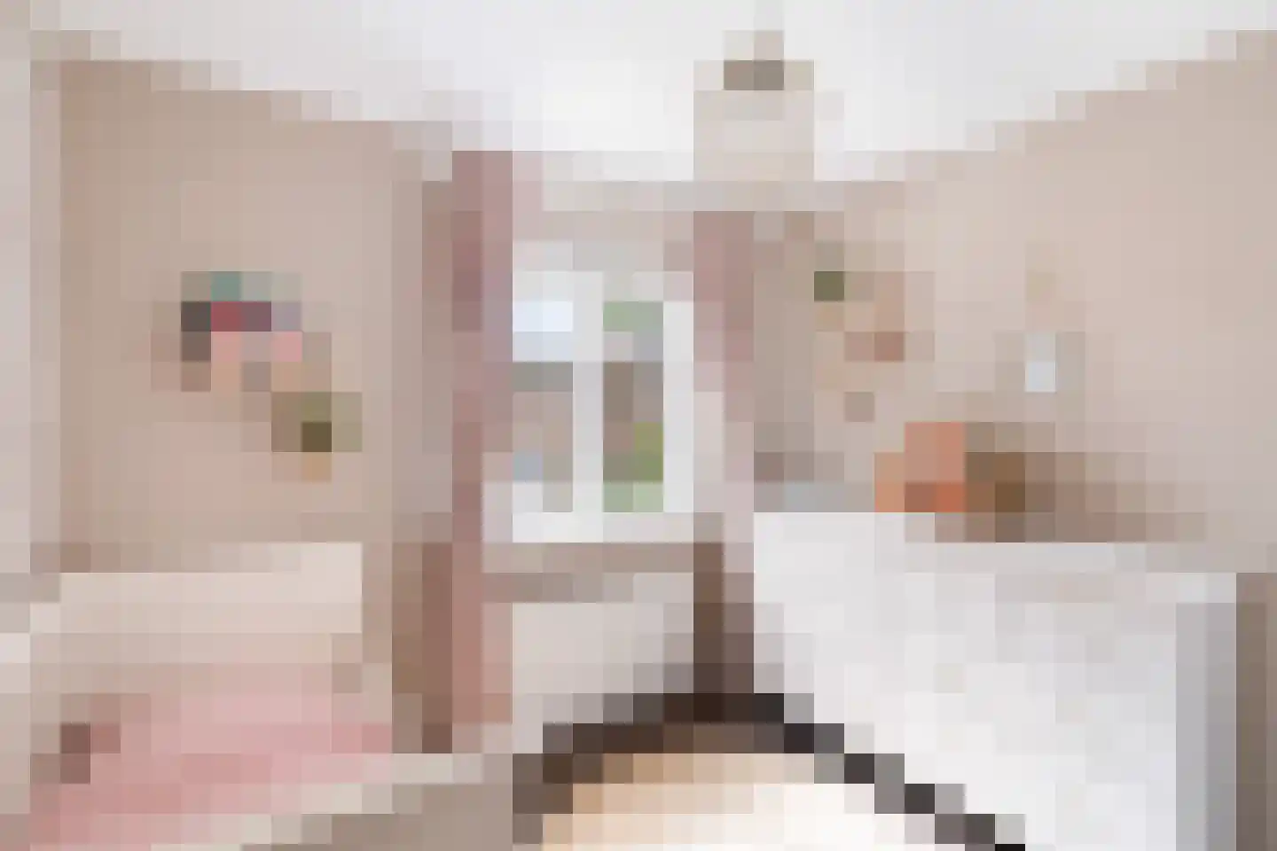 Wit-geellaan 15 Zoetermeer thumbnail 36