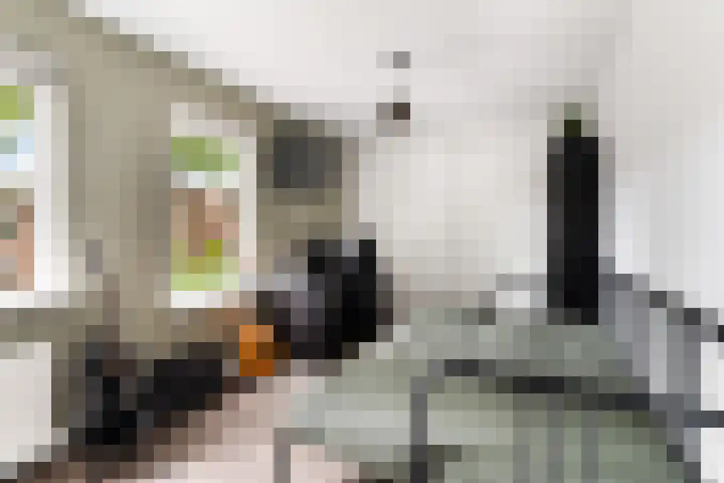 Wit-geellaan 15 Zoetermeer thumbnail 41