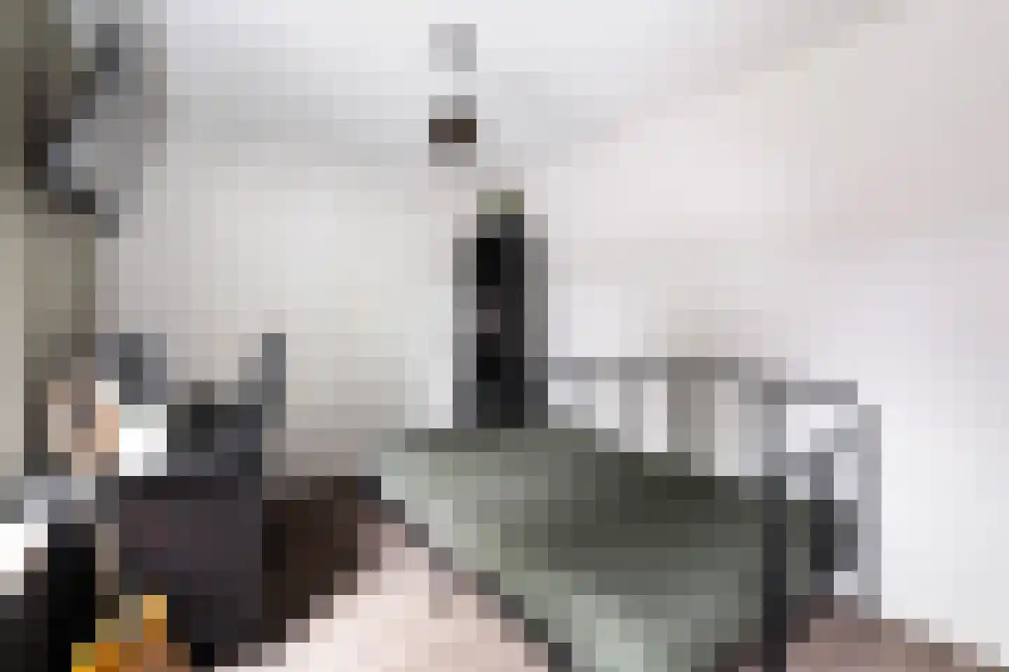 Wit-geellaan 15 Zoetermeer thumbnail 42