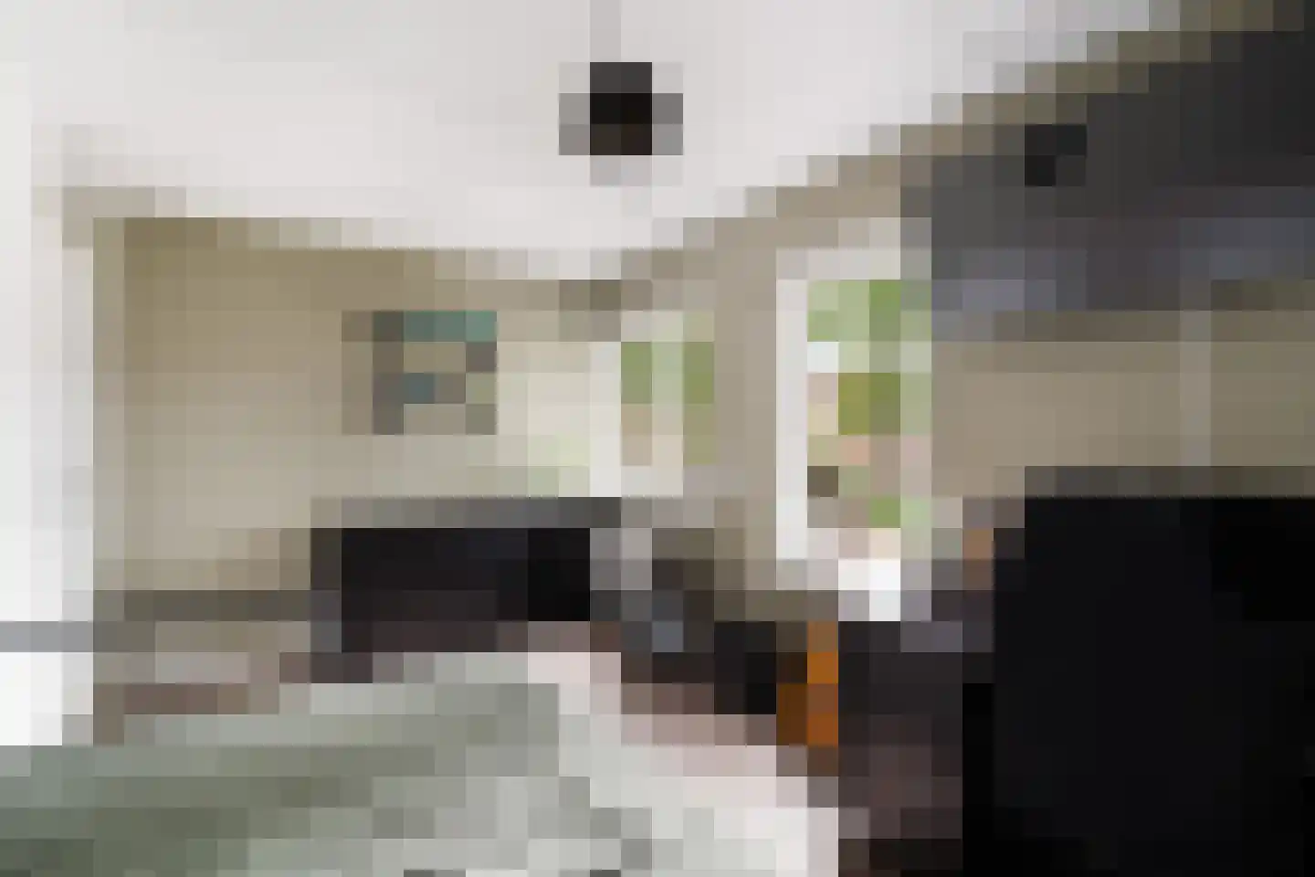 Wit-geellaan 15 Zoetermeer thumbnail 43