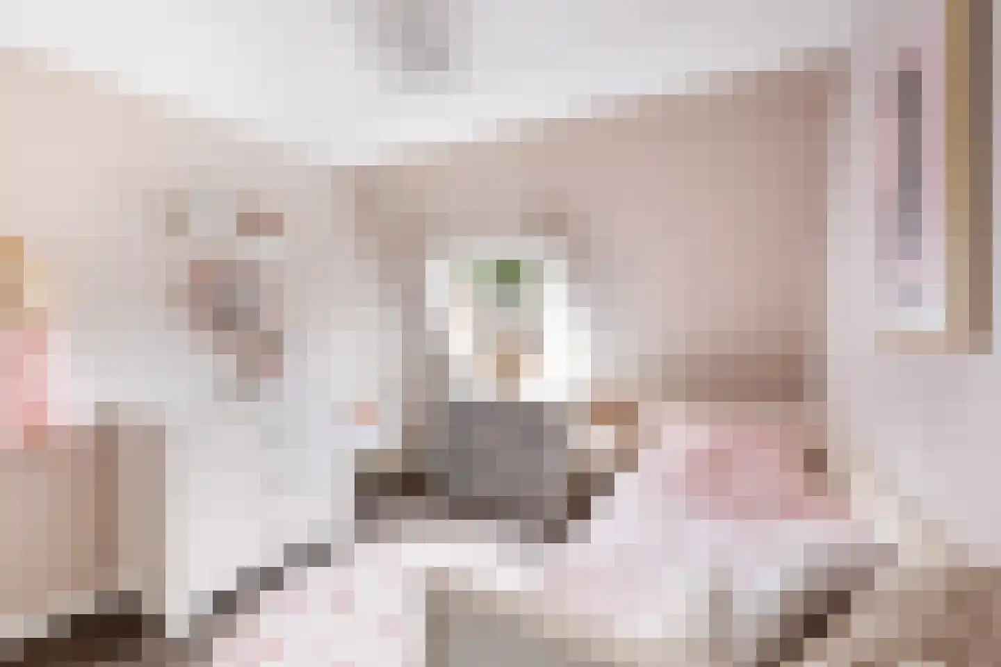 Wit-geellaan 15 Zoetermeer thumbnail 45