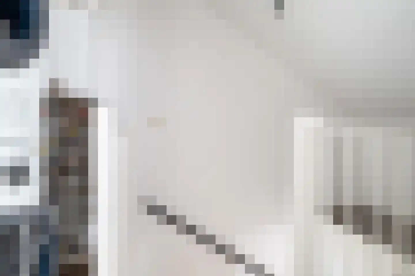 Wit-geellaan 15 Zoetermeer thumbnail 51