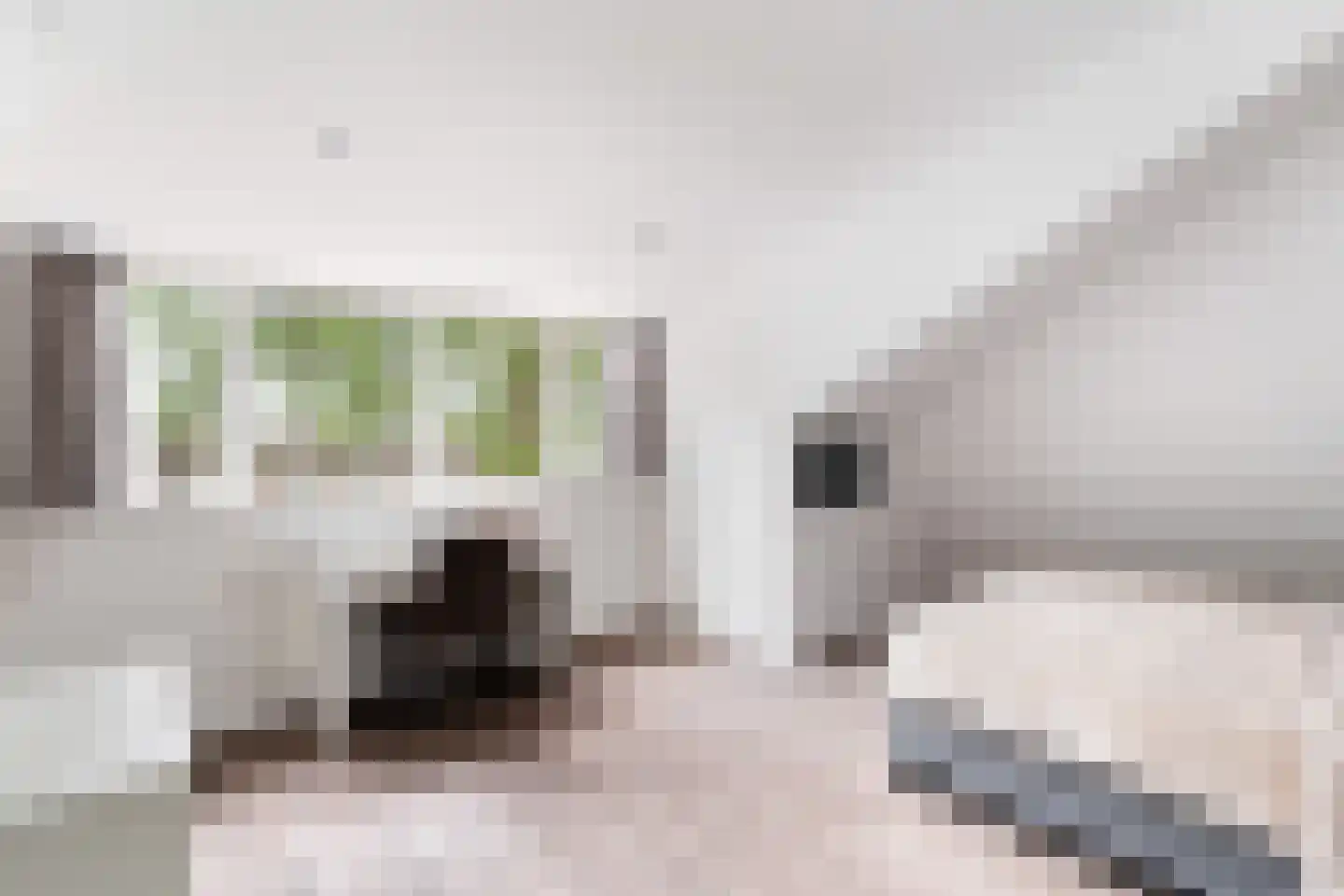 Wit-geellaan 15 Zoetermeer thumbnail 55