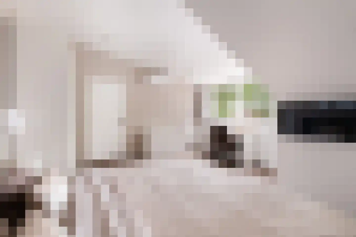 Wit-geellaan 15 Zoetermeer thumbnail 57