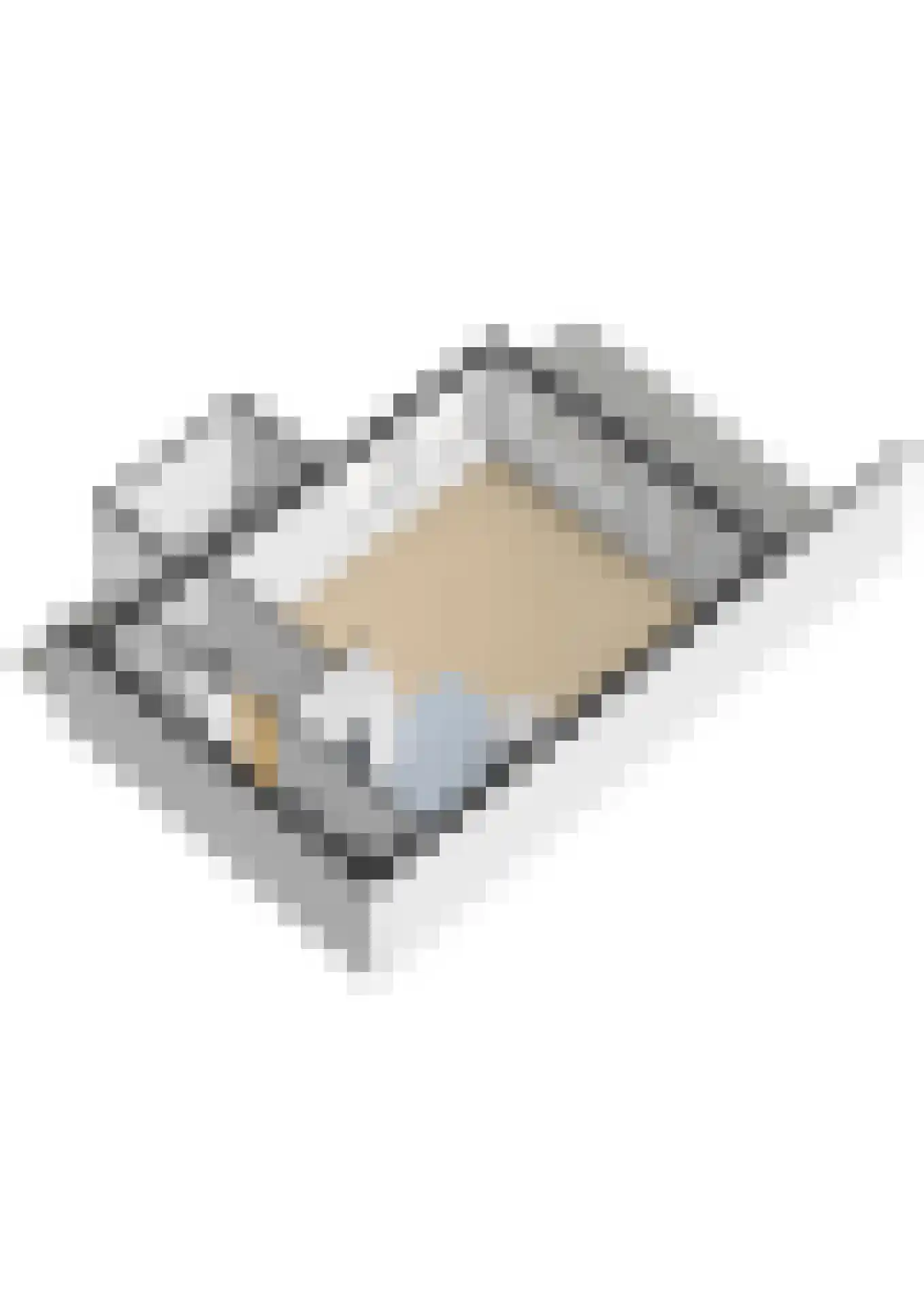 Wit-geellaan 15 Zoetermeer thumbnail 65