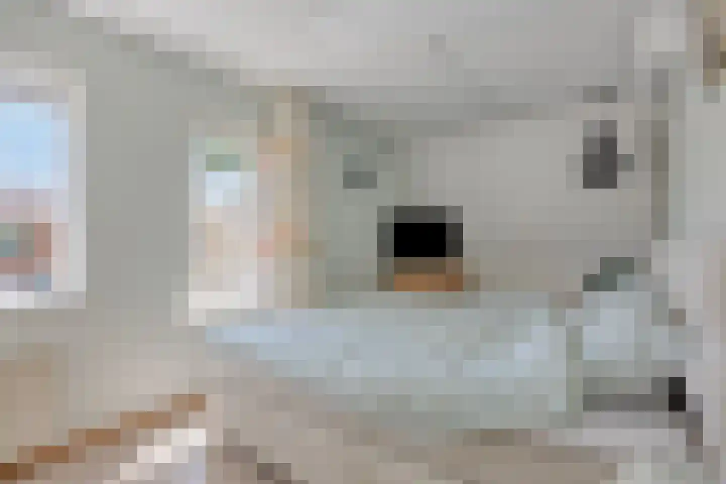 Wit-geellaan 3 Zoetermeer thumbnail 17