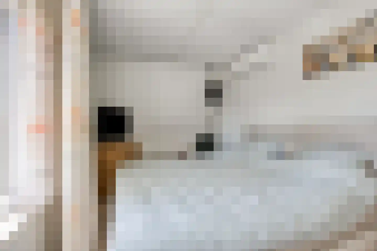 Wit-geellaan 3 Zoetermeer thumbnail 18