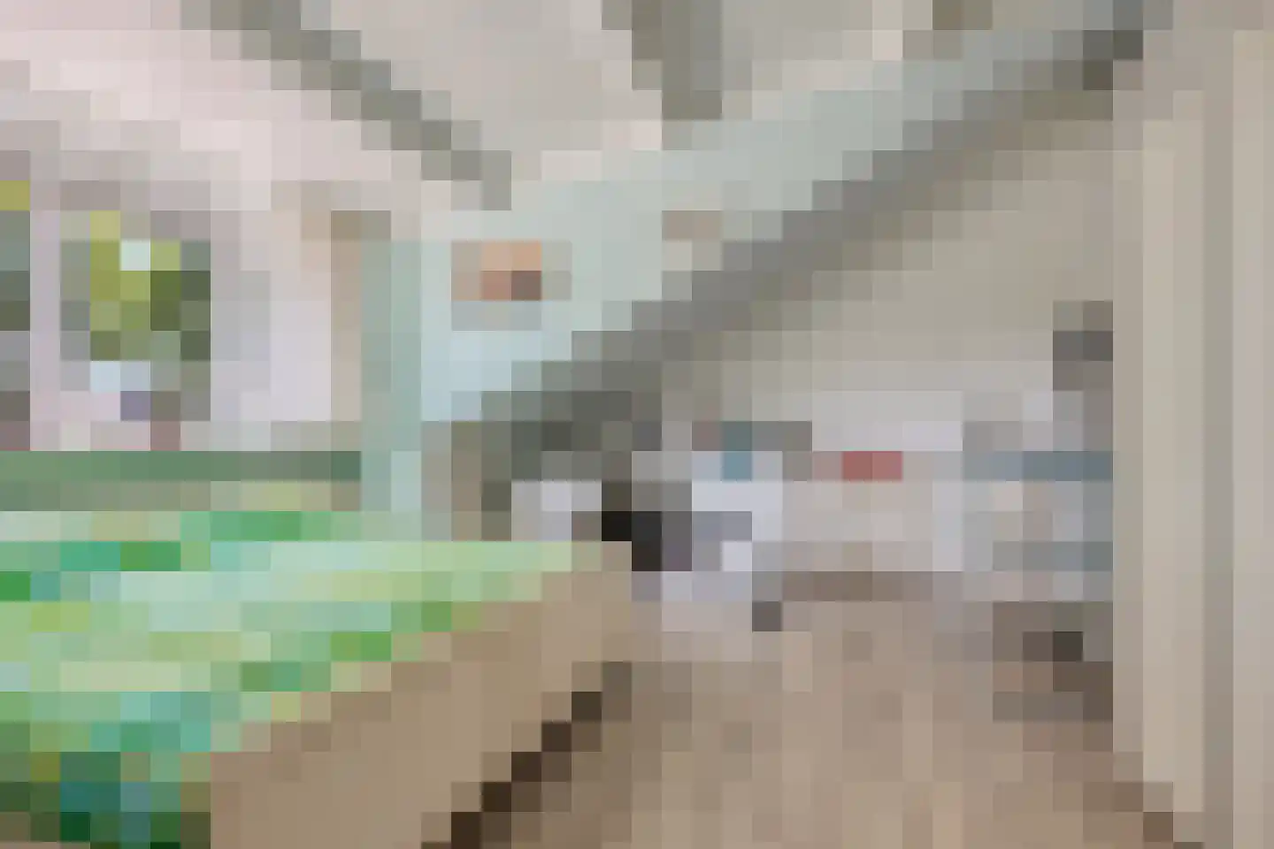 Wit-geellaan 3 Zoetermeer thumbnail 26