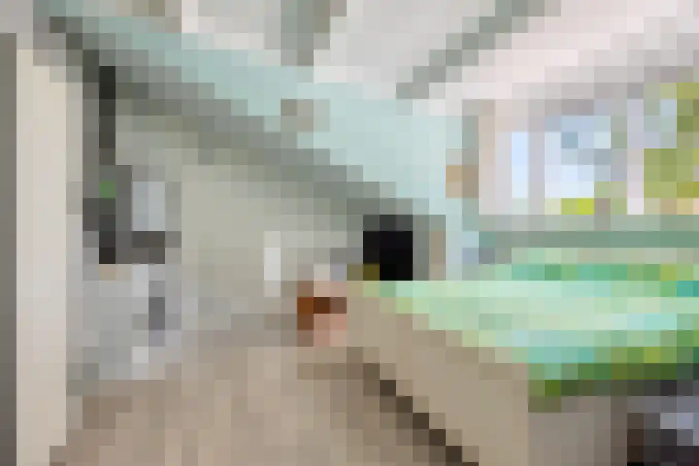 Wit-geellaan 3 Zoetermeer thumbnail 27