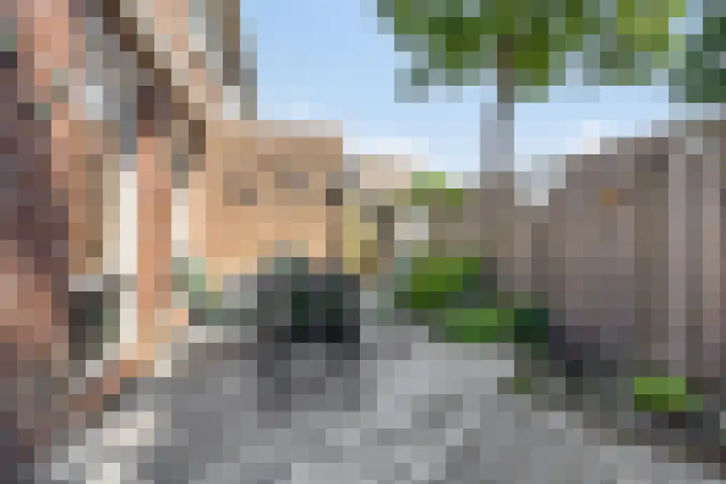 Wit-geellaan 3 Zoetermeer thumbnail 31