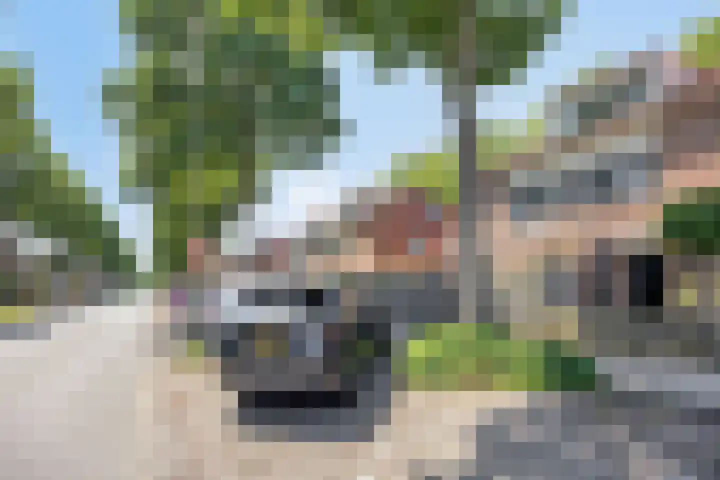 Wit-geellaan 3 Zoetermeer thumbnail 35