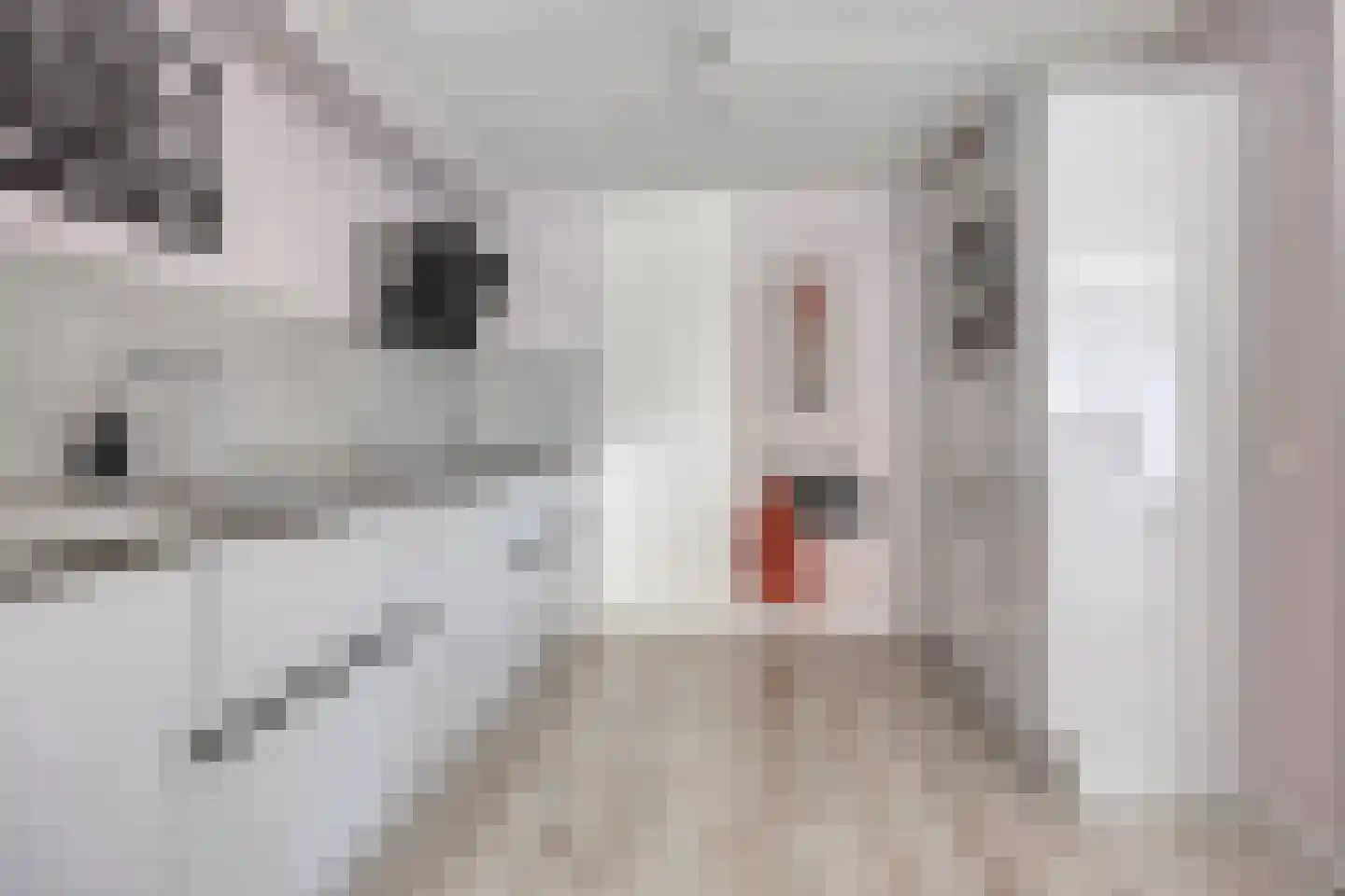 Wit-geellaan 3 Zoetermeer thumbnail 5