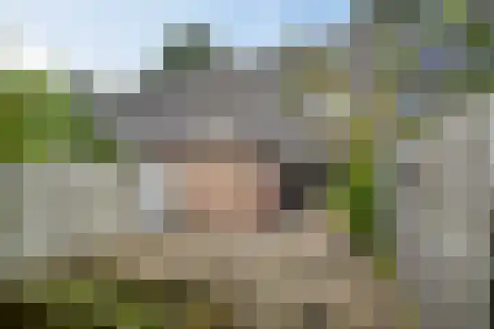 Wit-geellaan 42 Zoetermeer thumbnail 12