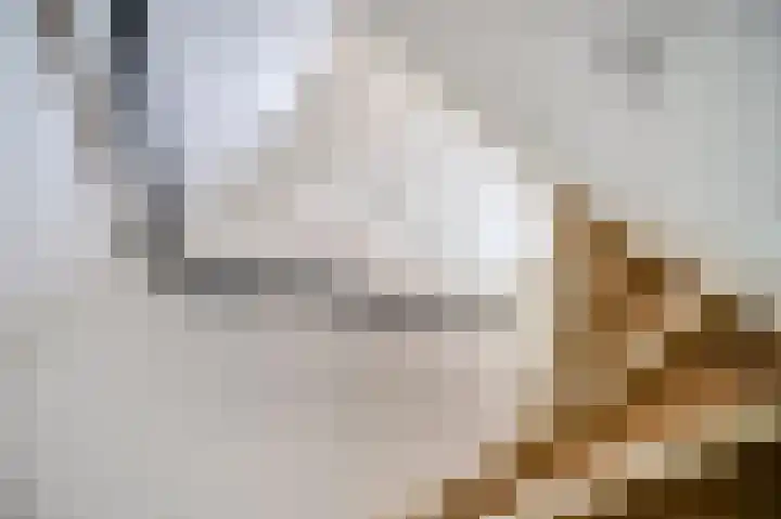Wit-geellaan 42 Zoetermeer thumbnail 35