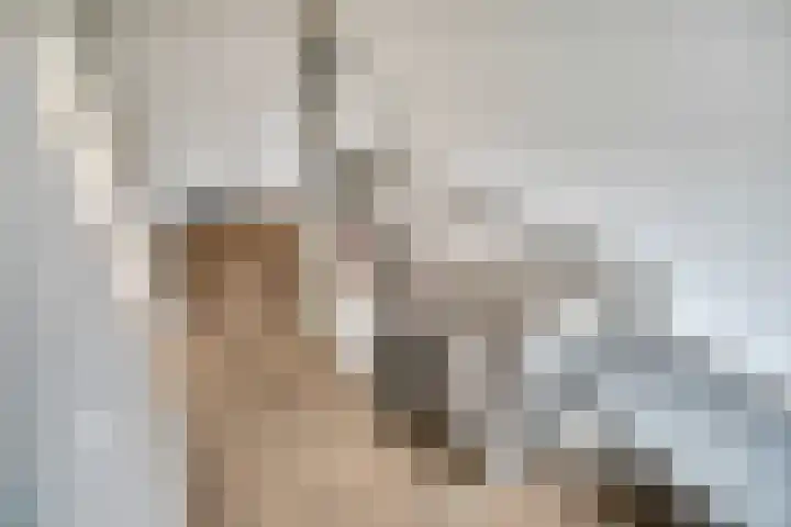 Wit-geellaan 42 Zoetermeer thumbnail 36