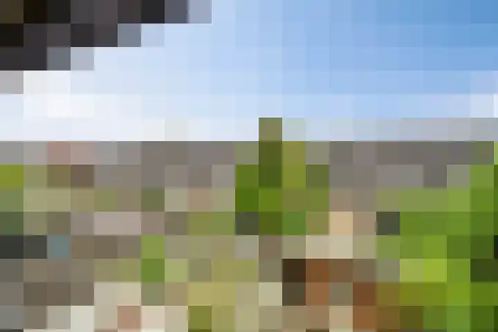 Wit-geellaan 42 Zoetermeer thumbnail 41
