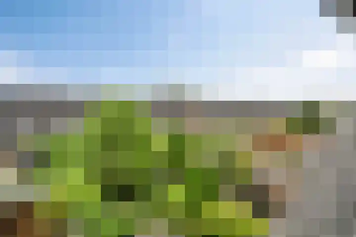Wit-geellaan 42 Zoetermeer thumbnail 42