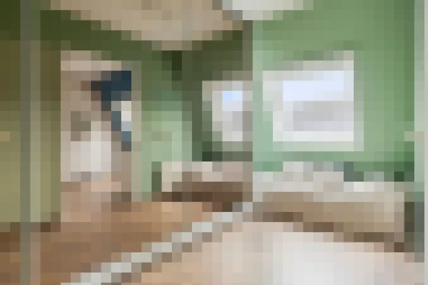Wit-geellaan 64 Zoetermeer thumbnail 17