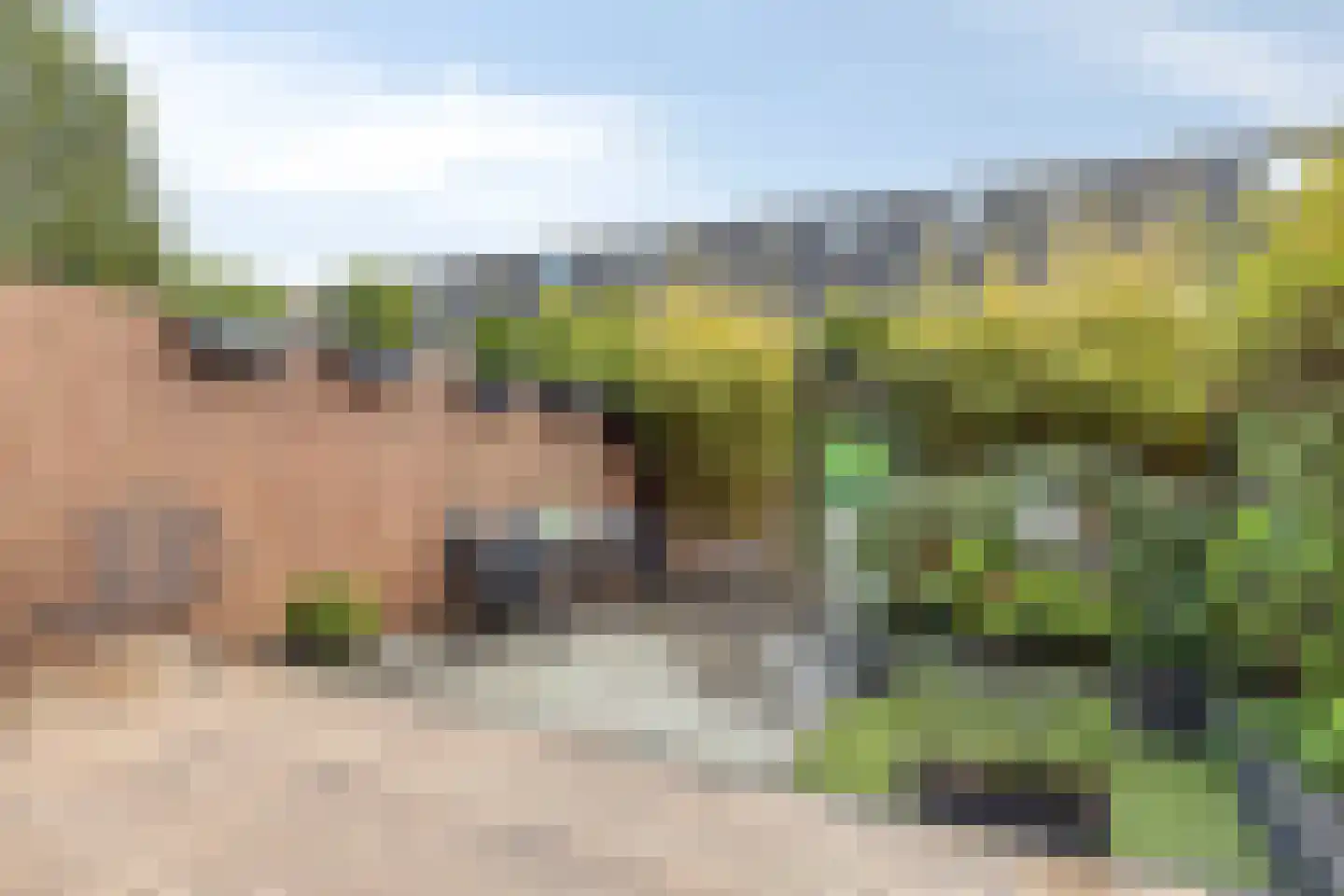Wit-geellaan 64 Zoetermeer thumbnail 28