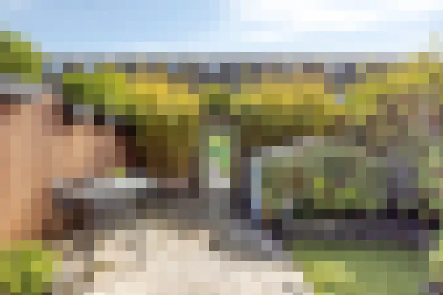 Wit-geellaan 64 Zoetermeer thumbnail 29