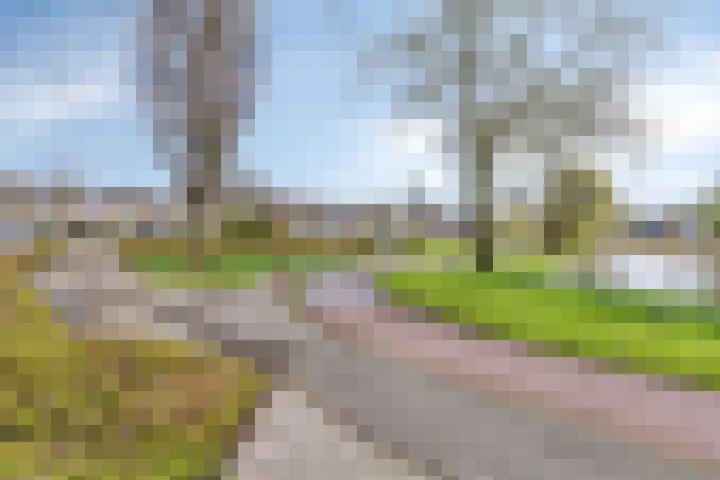 Wit-geellaan 64 Zoetermeer thumbnail 31