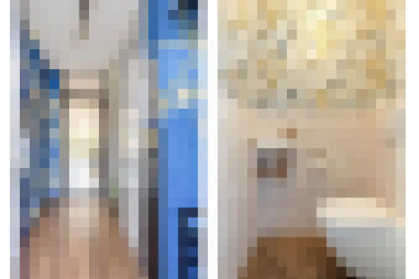 Wit-geellaan 64 Zoetermeer thumbnail 6