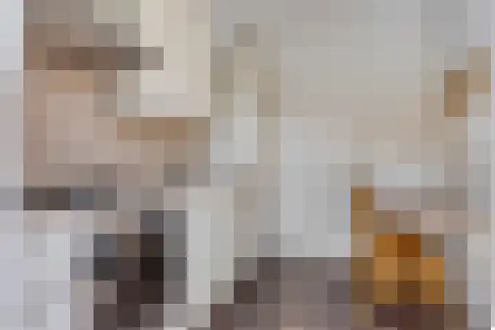 Wit Hollandven 11 Goirle thumbnail 10