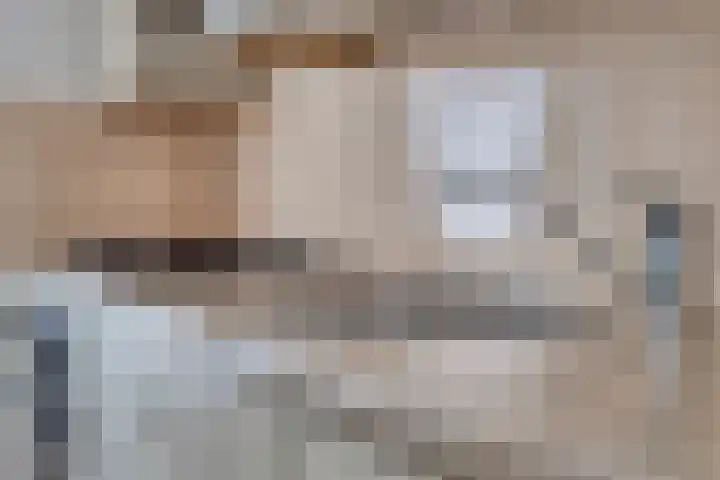 Wit Hollandven 11 Goirle thumbnail 11