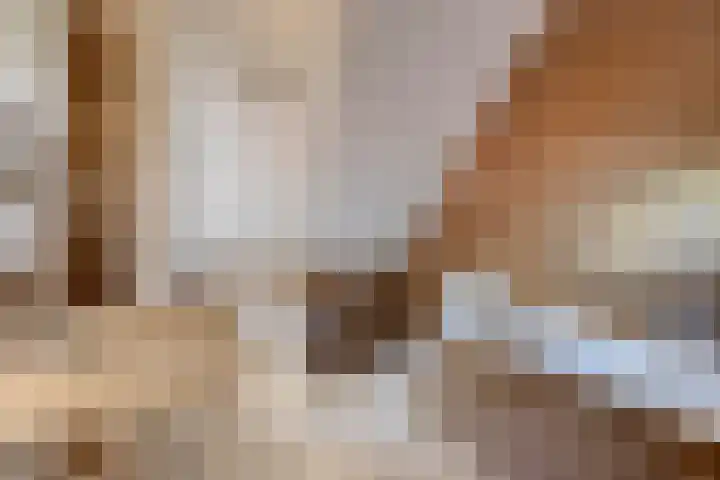 Wit Hollandven 11 Goirle thumbnail 17