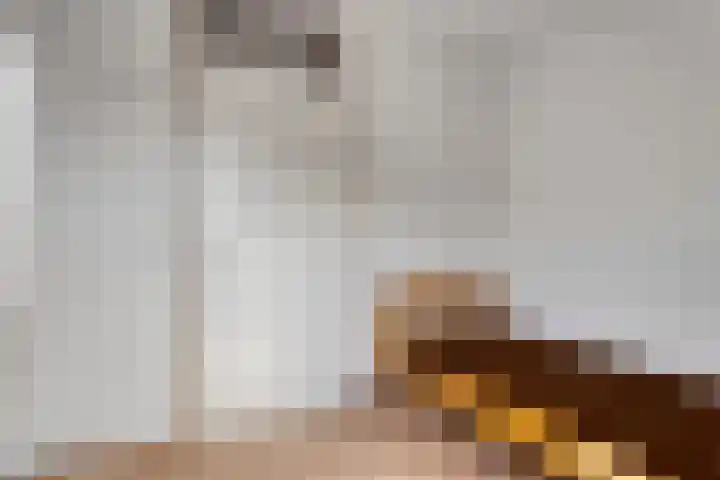Wit Hollandven 11 Goirle thumbnail 23