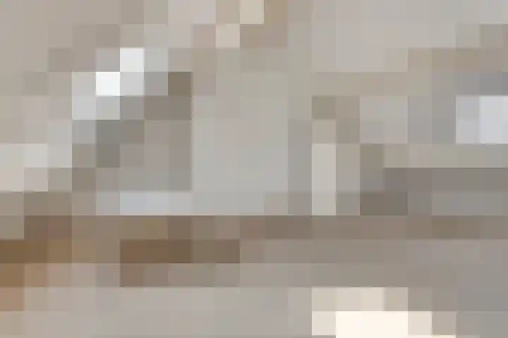 Wit Hollandven 11 Goirle thumbnail 25