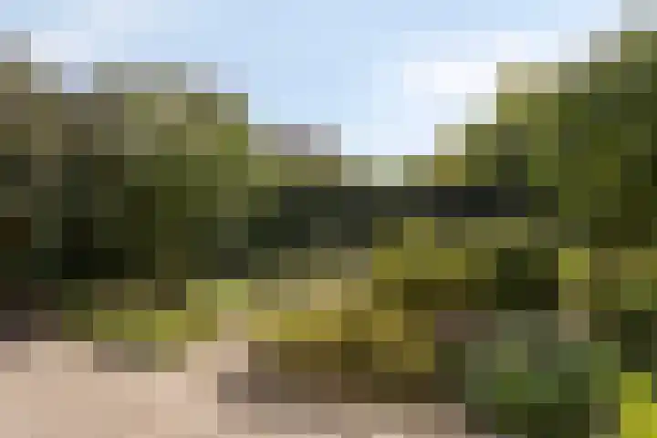 Wit Hollandven 11 Goirle thumbnail 27