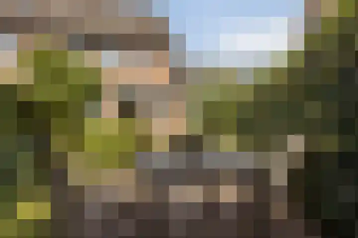 Wit Hollandven 11 Goirle thumbnail 30