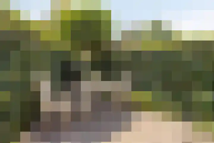 Wit Hollandven 11 Goirle thumbnail 31