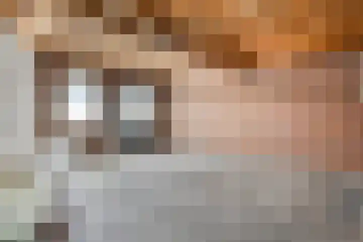 Wit Hollandven 11 Goirle thumbnail 33