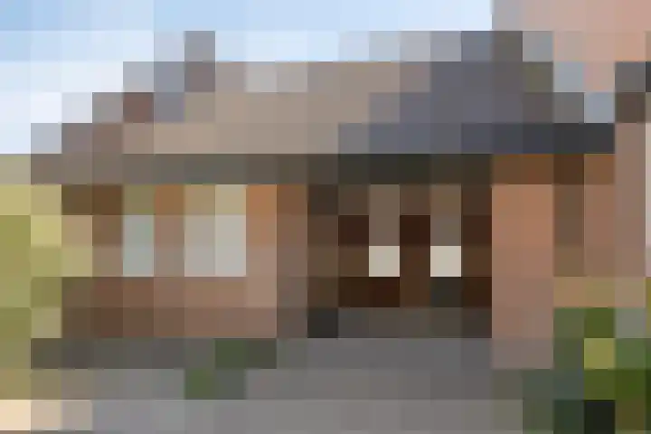 Wit Hollandven 11 Goirle thumbnail 34
