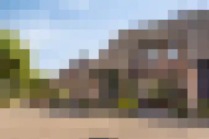 Wit Hollandven 11 Goirle thumbnail 35