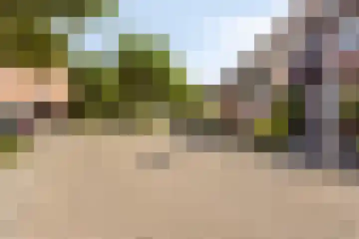 Wit Hollandven 11 Goirle thumbnail 37