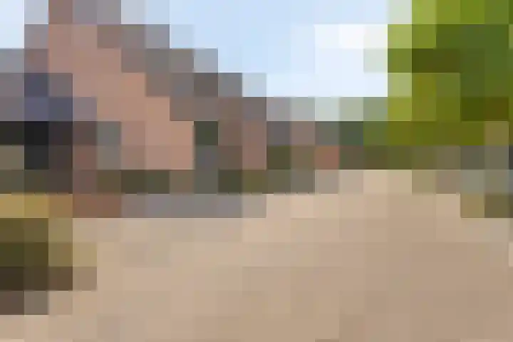 Wit Hollandven 11 Goirle thumbnail 38