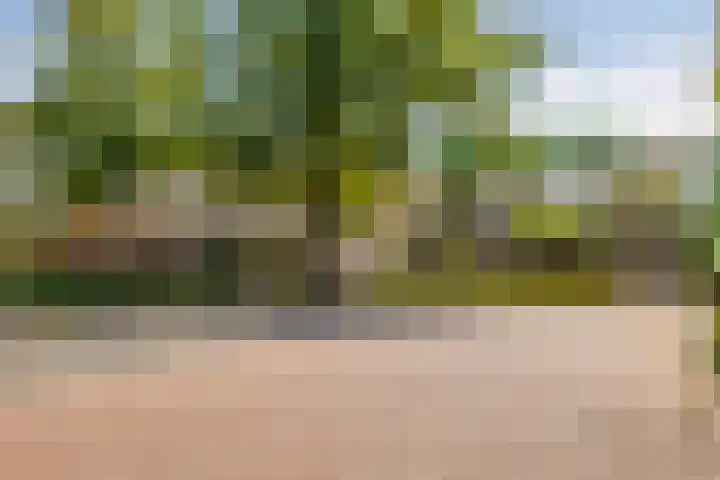Wit Hollandven 11 Goirle thumbnail 39