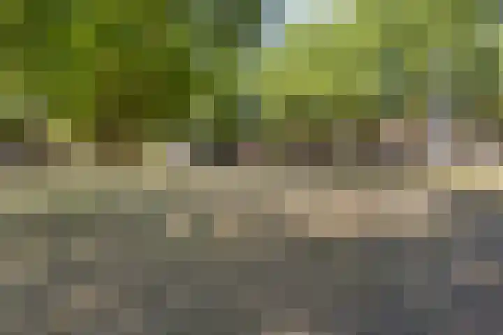 Wit Hollandven 11 Goirle thumbnail 40