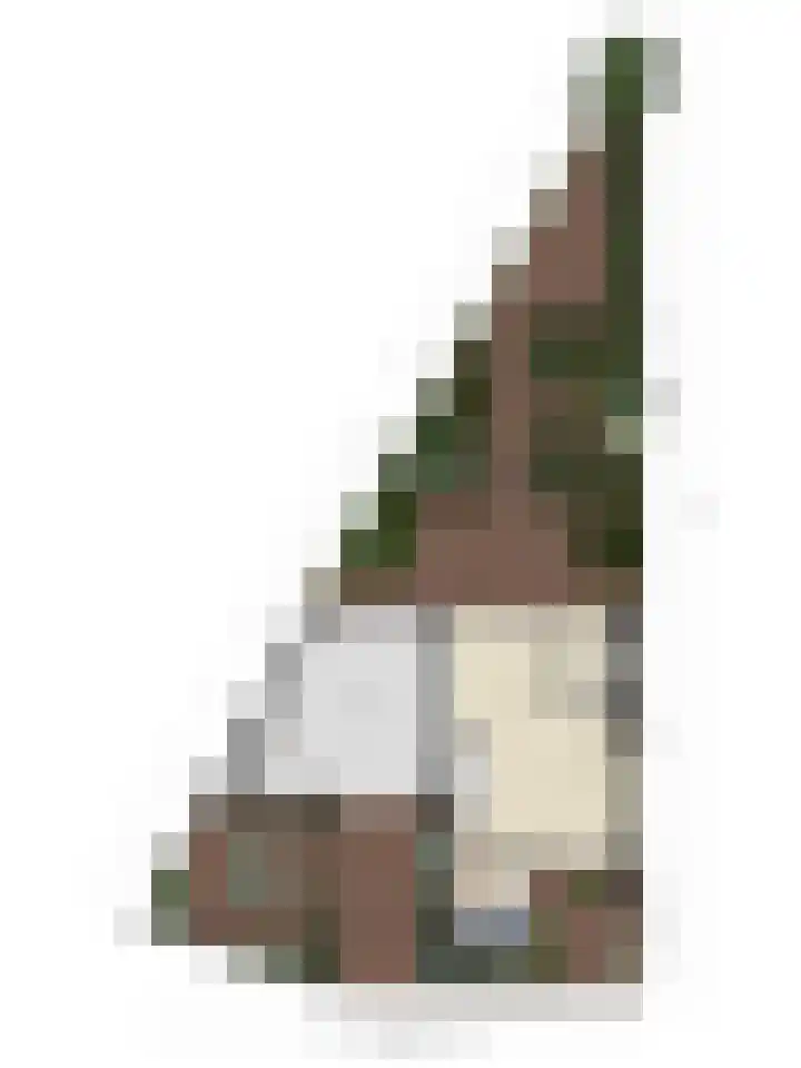 Wit Hollandven 11 Goirle thumbnail 44