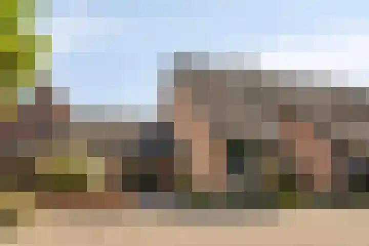 Wit Hollandven 11 Goirle thumbnail 45